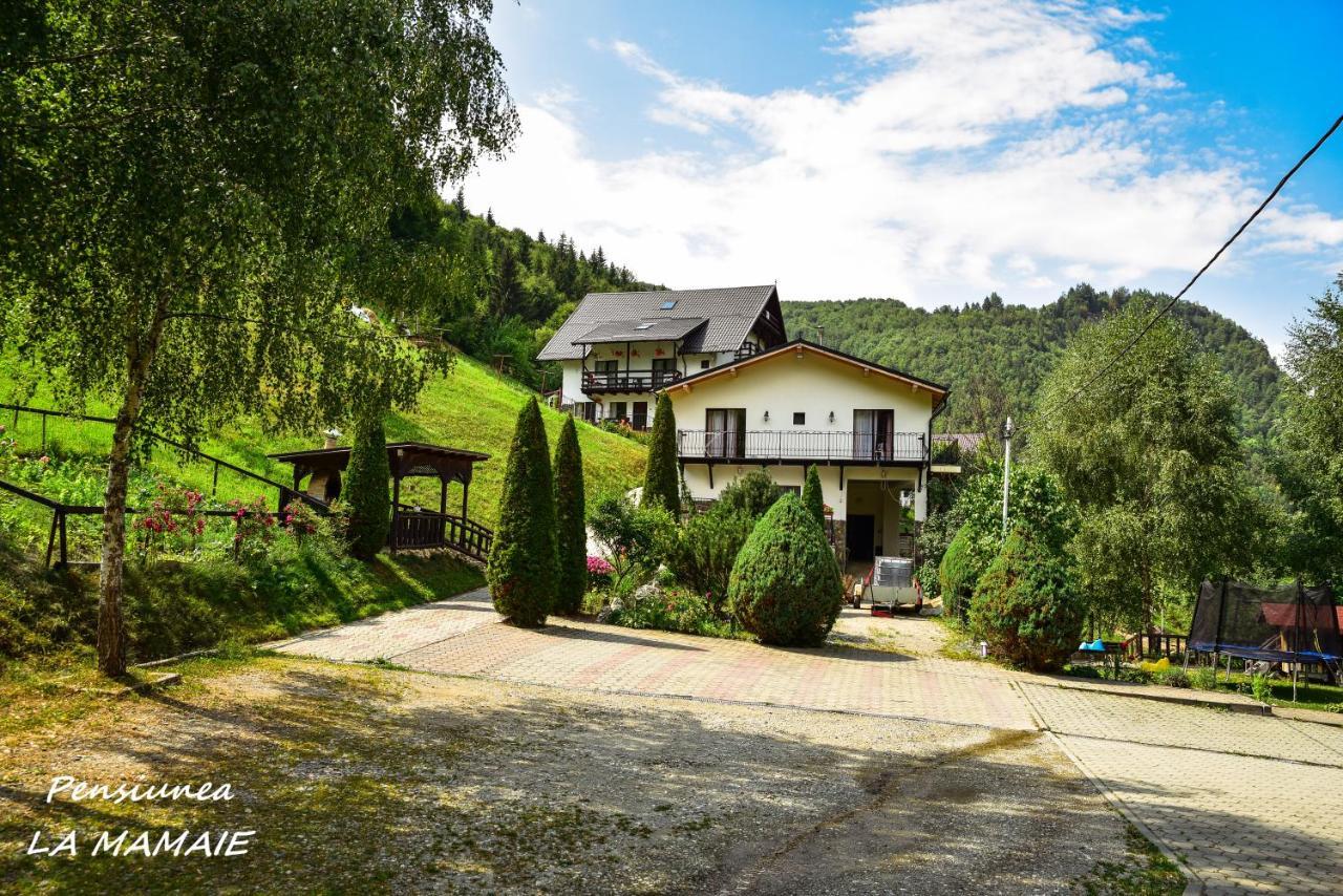 Pensiunea La Mamaie Cheia  Exterior foto